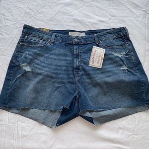Distressed Levi’s NWT size 24 denim shorts